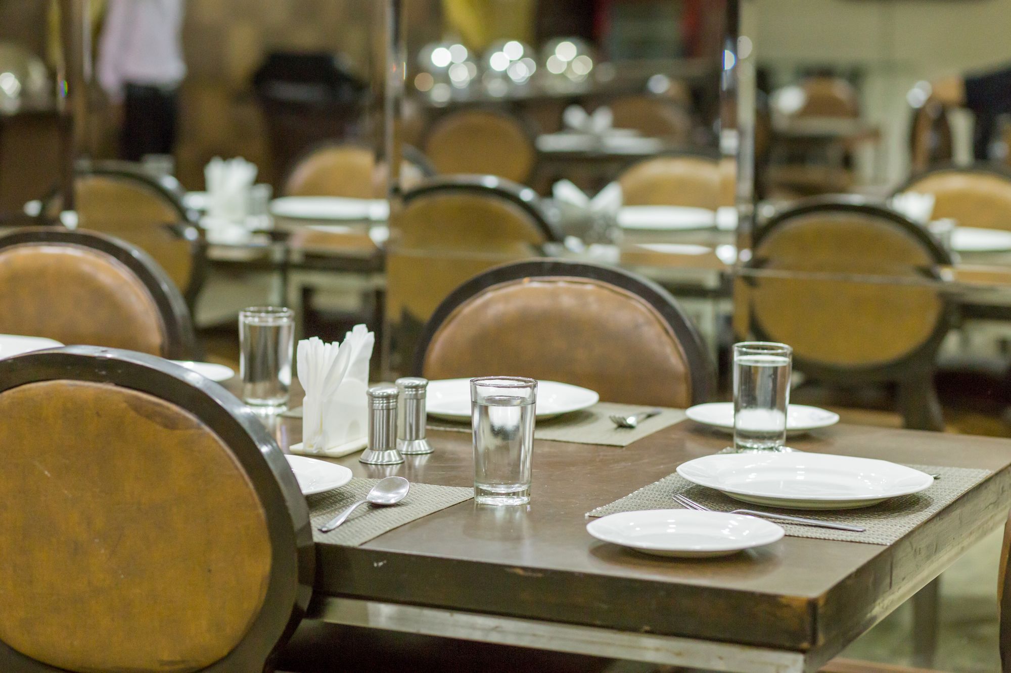 The Silver Leaf Hotel Ahmadabad Zewnętrze zdjęcie